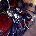 IMG00054-20090202-2159