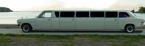 510_LIMO