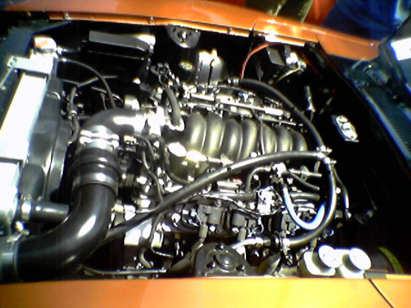 Picture013