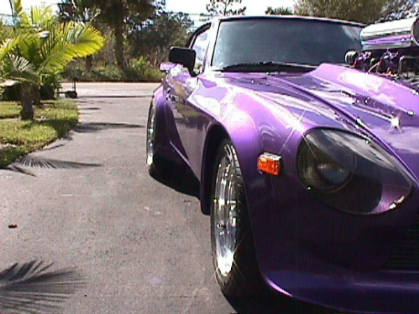 Purple_frontangle